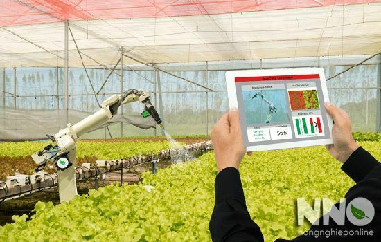 Đầu tư xây dựng khu nông nghiệp ứng dụng công nghệ cao